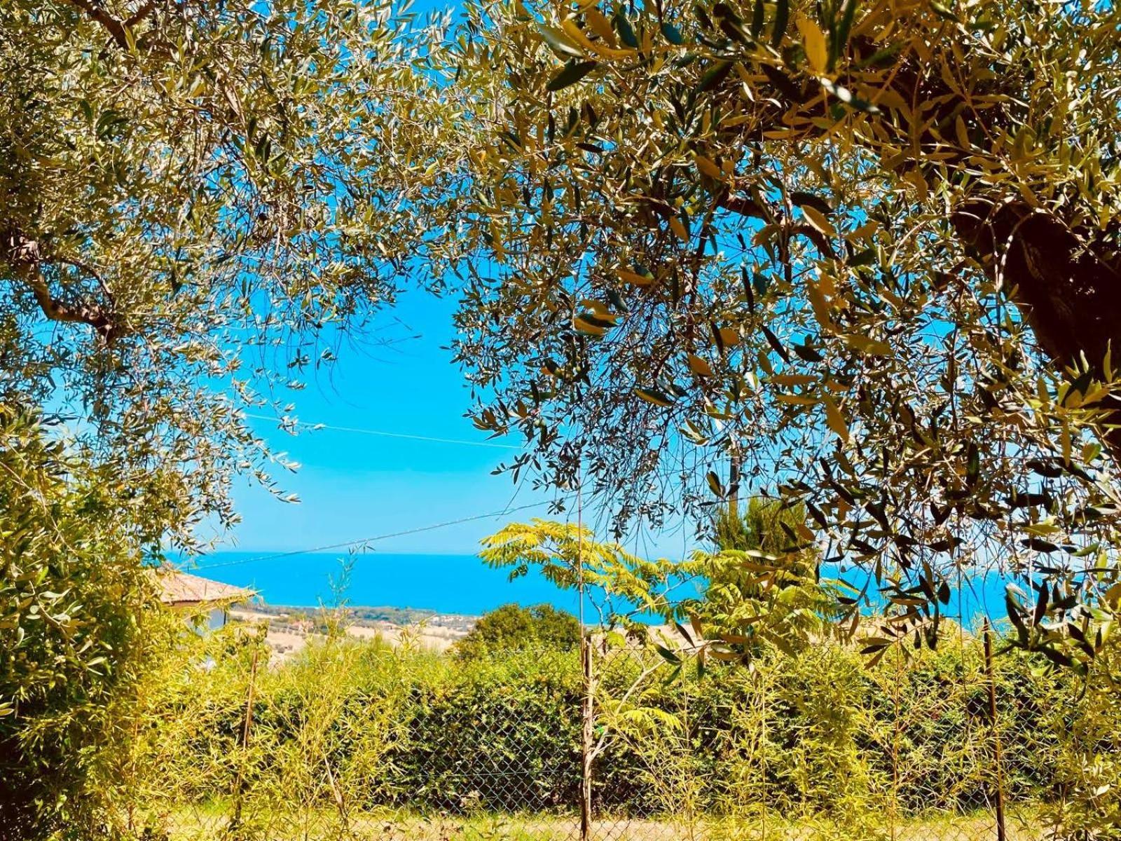 Villa In Collina Vista Mare Roseto Degli Abruzzi Exterior photo